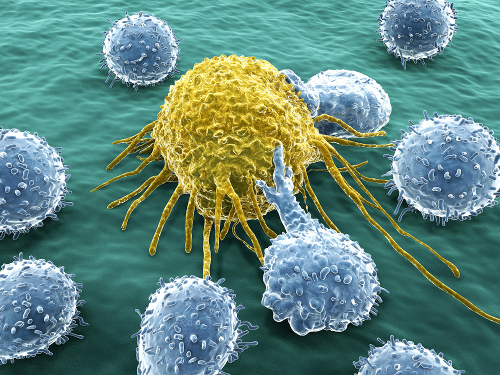 Be Informed: Understanding The Hallmarks Of Cancer: Genomic Instability