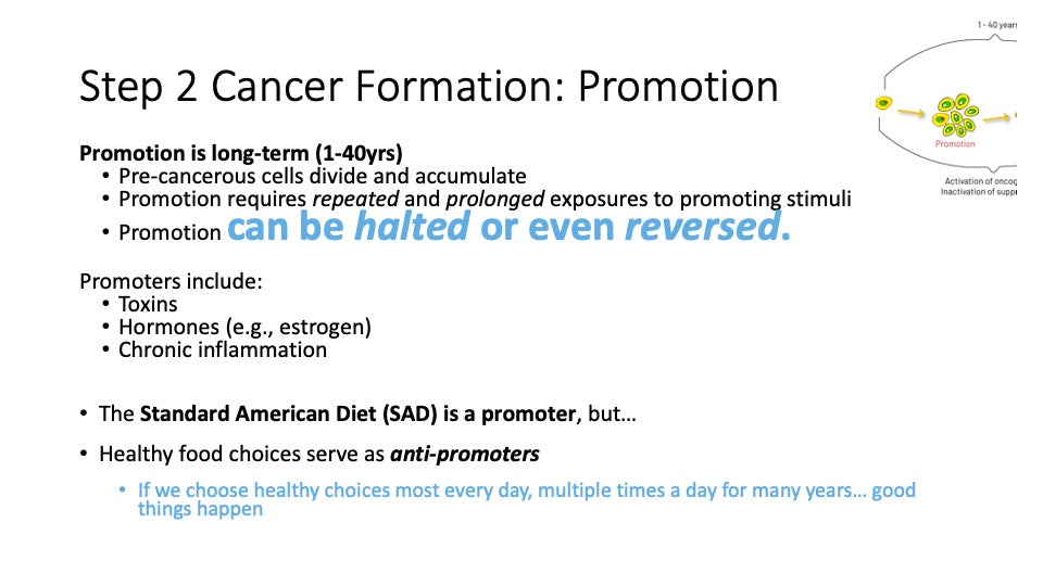 Be Informed: Understanding The Promotion Of Cancer Formation