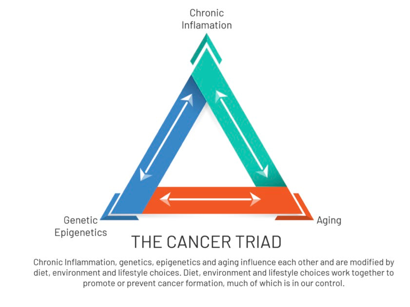 Be Informed: The Cancer Triad and Cancer Development