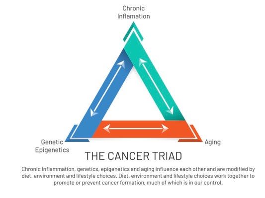 Be Informed: The Cancer Triad and Cancer Development