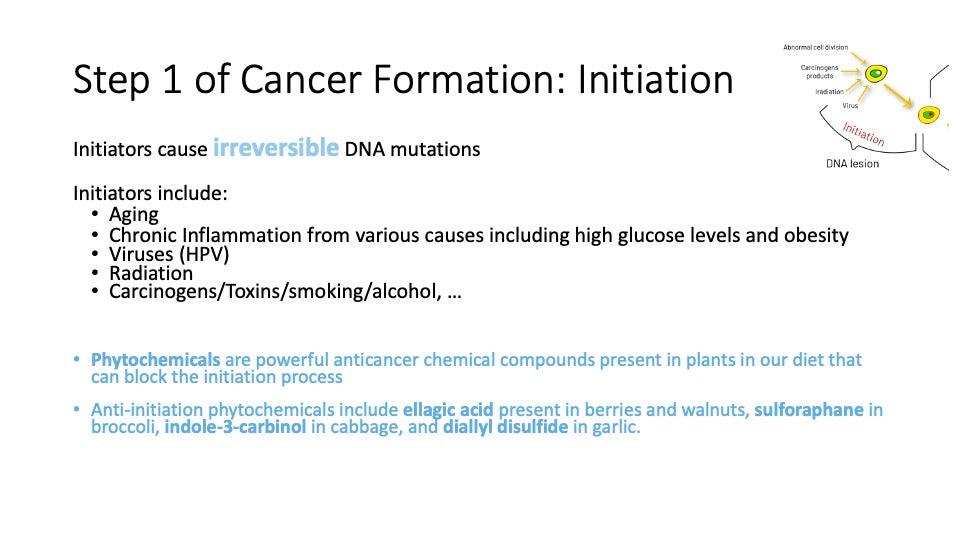 Be Informed: Understanding The Initiation Of Cancer