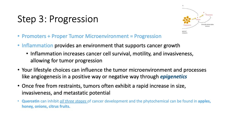 Be Informed: Understanding Cancer Formation: Progression And Metastasis