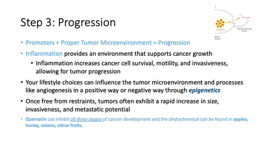 Be Informed: Understanding Cancer Formation: Progression And Metastasis